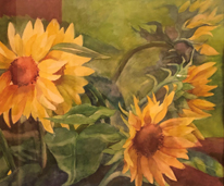 Sunflower Magic